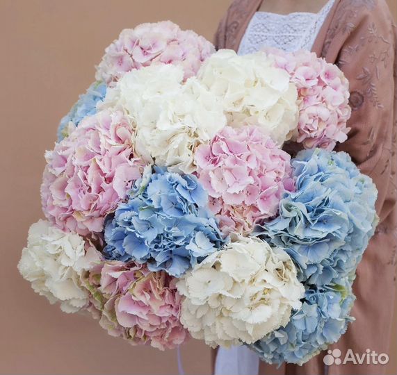Гортензии цветы букеты из гортензий