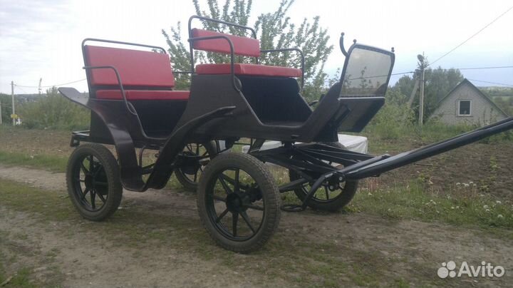 Фаэтон, карета, сани для лошадей и пони