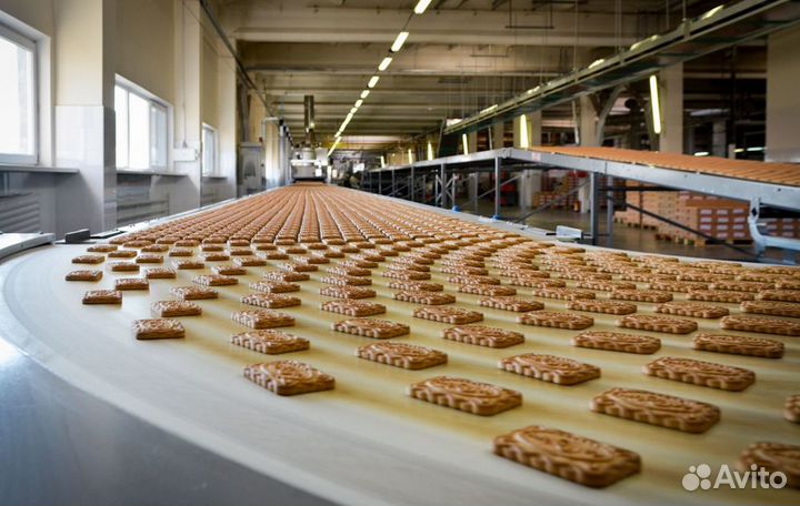 Вахта. Разнорабочие. Краснодарский край