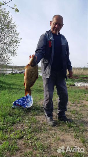 Платная рыбалка - Козлаковские пруды