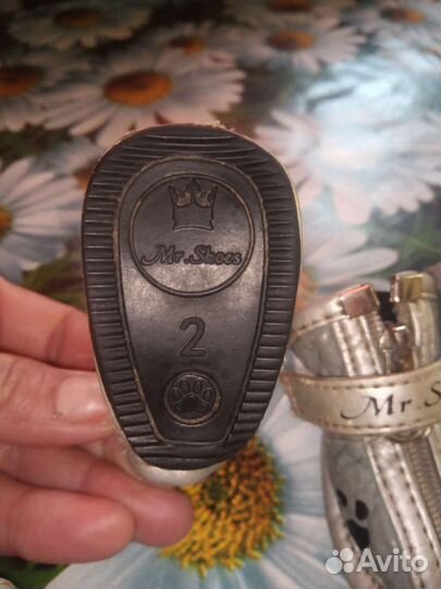 Ботиночки для собачки