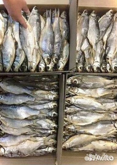 Вобла вяленая