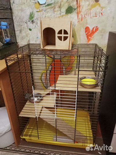Клетка для грызунов большая