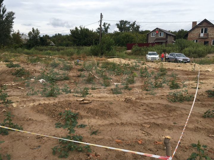 Участок 6 сот. (ИЖС)