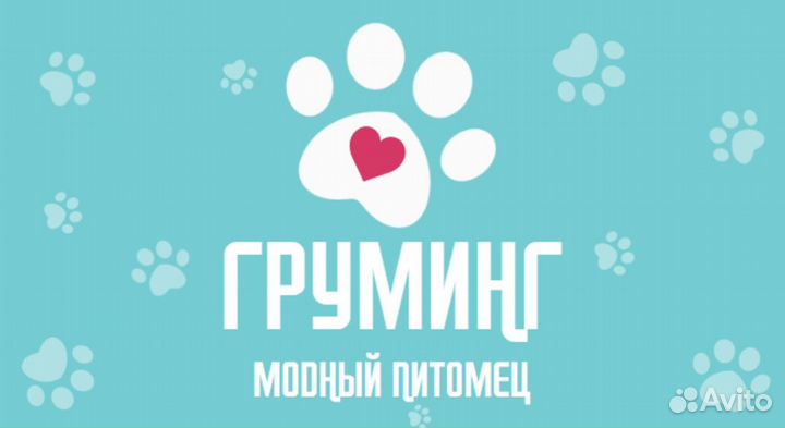 Стрижка собак на дому