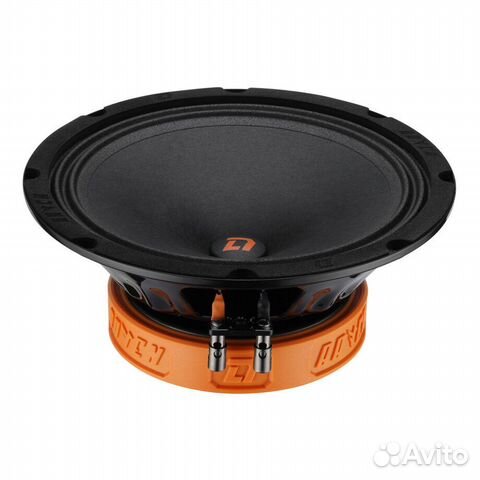 Акустика DL Raven 200