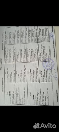 Щенки западно сибирской лайки родословная охотн