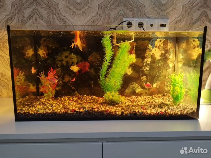 Аквариум