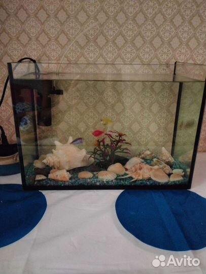 Аквариум