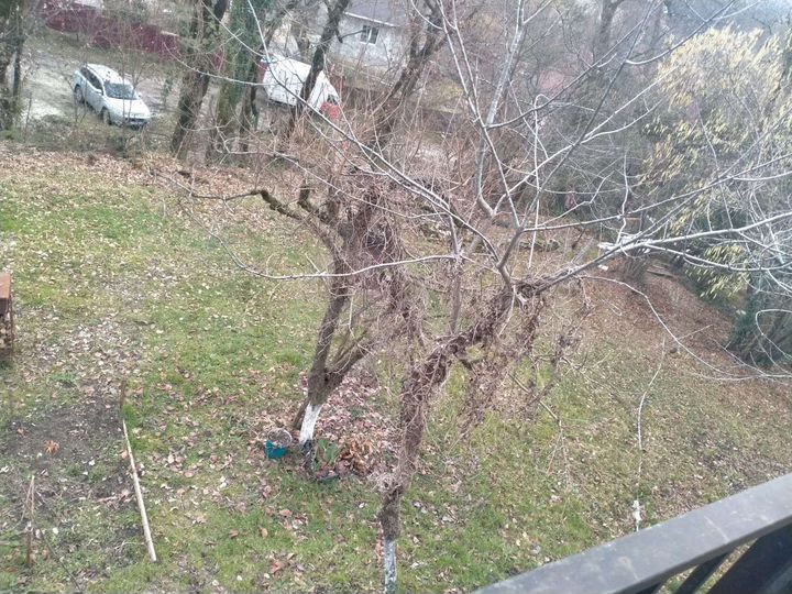 Дача 36 м² на участке 8 сот.