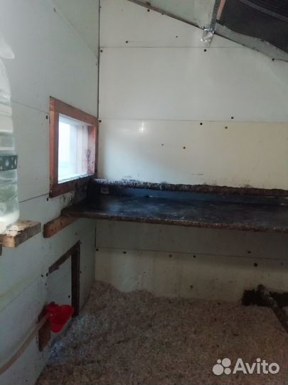 Продам курятник