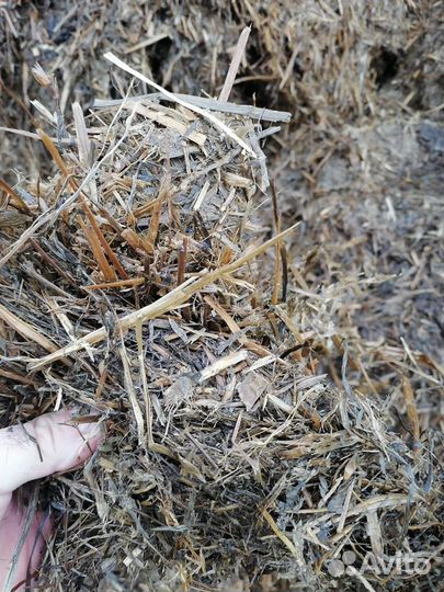 Сенаж и Силос