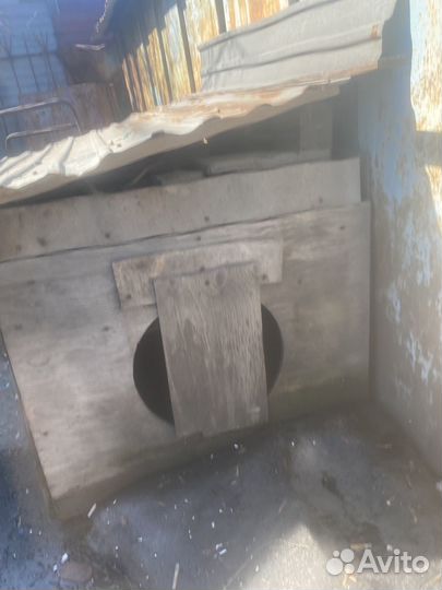 Собачья будка