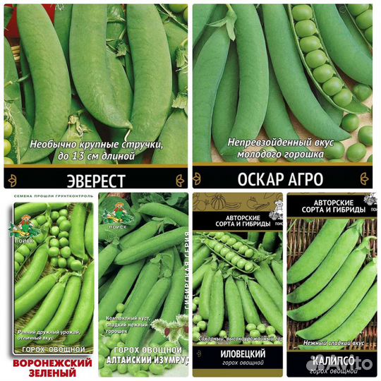 Семена гороха 25 сортов Бесплатная доставка