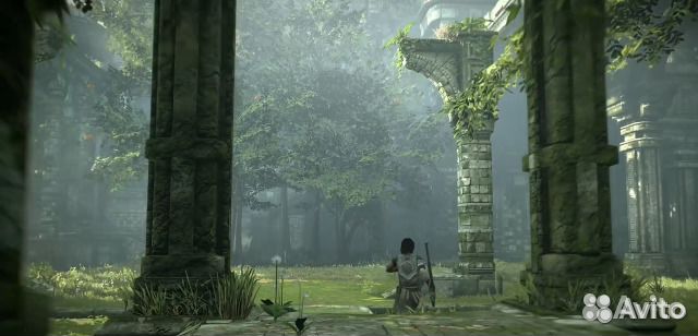 Shadow of the colossus в тени коллоса PS 4