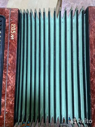 Баян этюд 205м