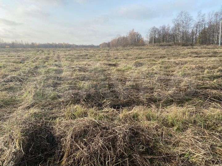 Участок 32,7 га (СНТ, ДНП)