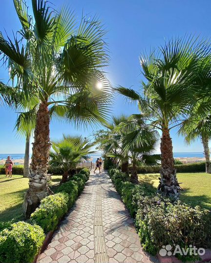 Тур в Турцию