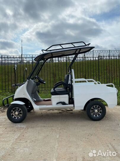 Гольфкар GreenCamel A2P (2+Plate 1800W R10 alum)