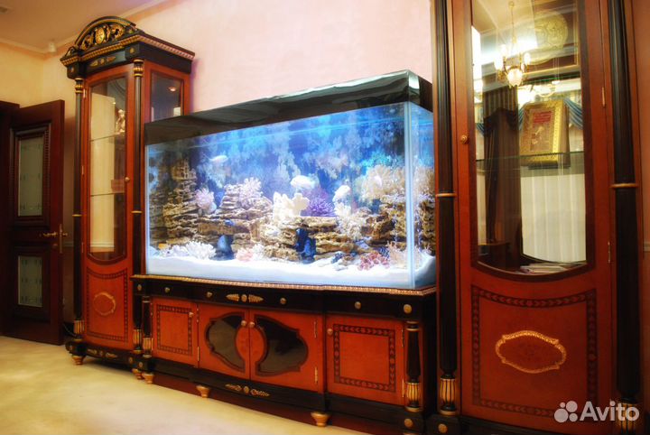 Обслужу и оформлю аквариумы