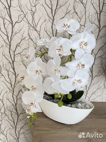 Орхидея белая