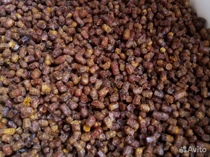 Перга пчелиная очищенная сухая