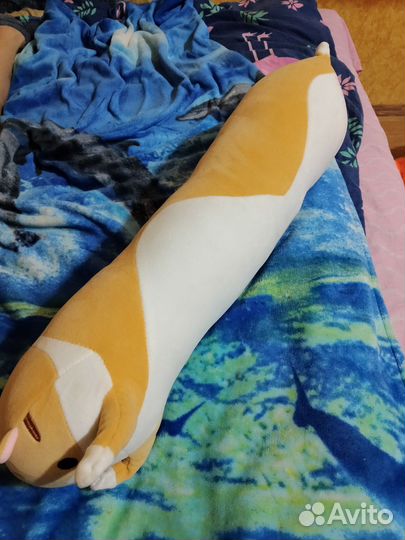 Кот батон новый