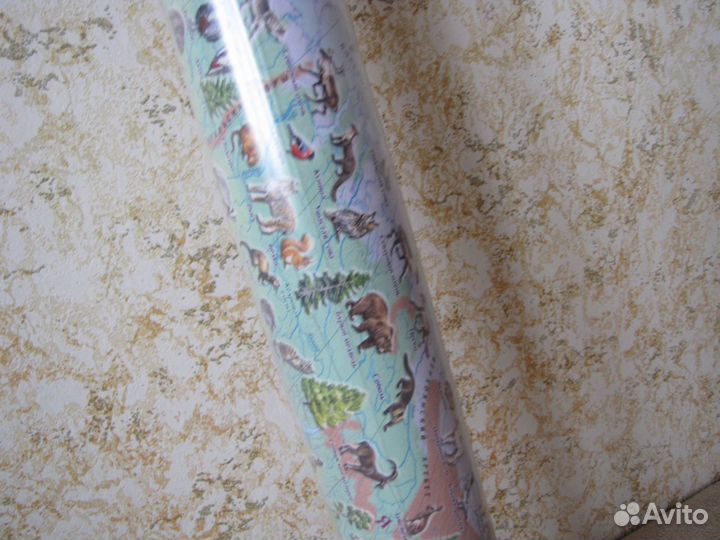 Карта Животный мир Земли