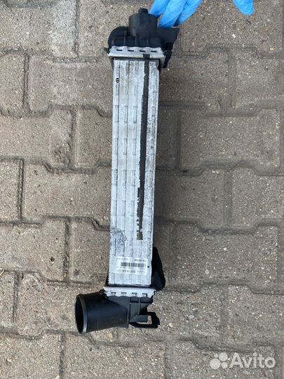 Интеркулер Ford Focus 3