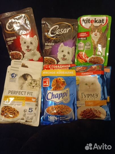 Корм для кошек и собак
