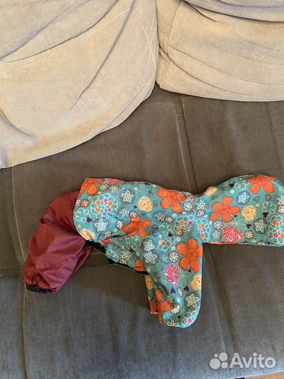 Дождевик для маленьких собак