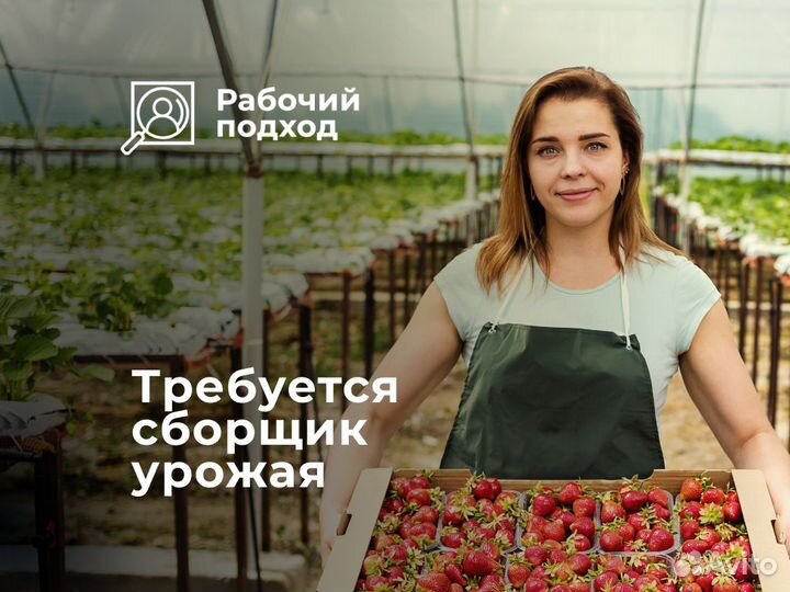 Разнорабочий Вахта / В Сады с проживанием