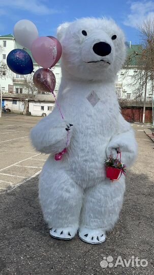 Аниматор мишка