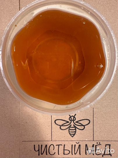 Мед горной липы