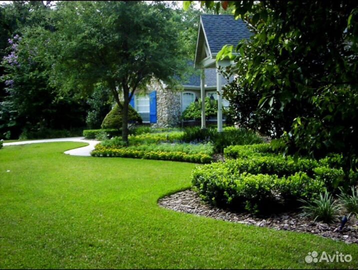 Рулонный газон.Укладка газона