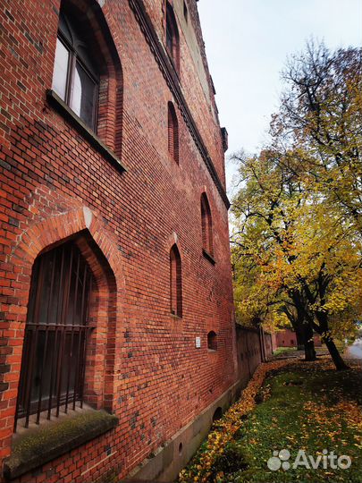 Индивидуальный Тур в Калининград от 3-х дней