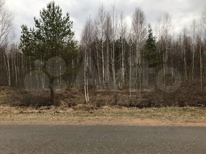 Участок 5 га (СНТ, ДНП)