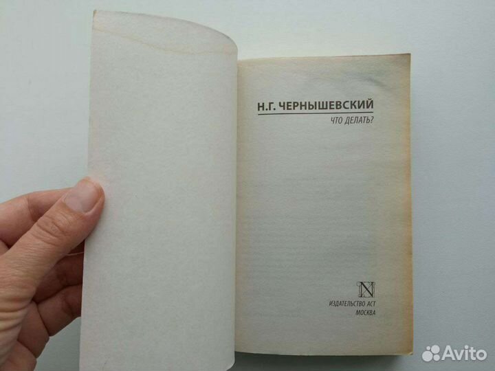Чернышевский Что делать