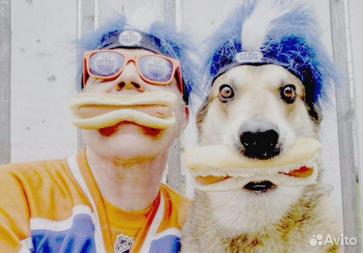 Приглашаем Мойщика Выплаты еженед. /Беспл.Питание