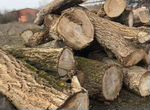 Спил и удаление деревьев(заготовка древесины)
