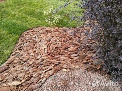 Кора сосны и лиственницы