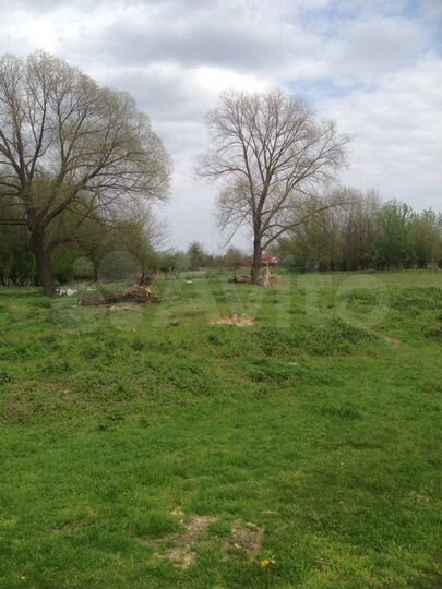 Участок 43 сот. (ИЖС)