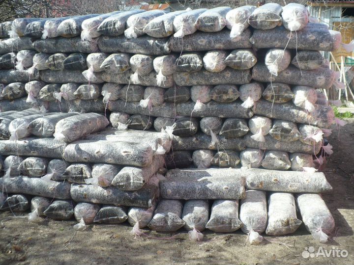 Отработанные грибные блоки