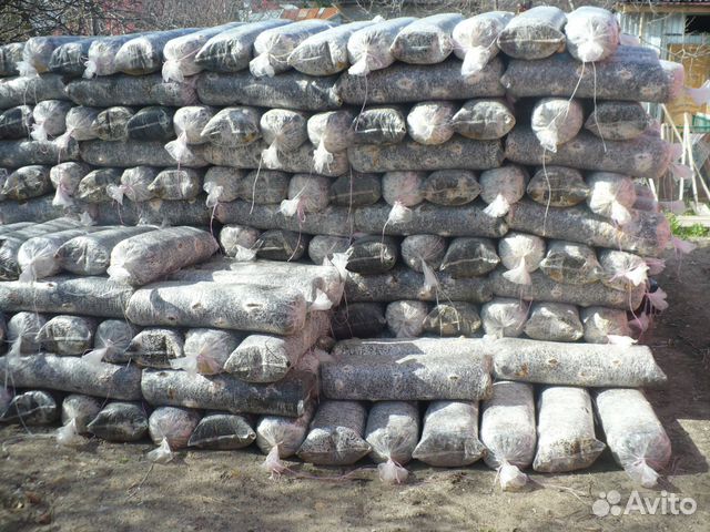 Отработанные грибные блоки