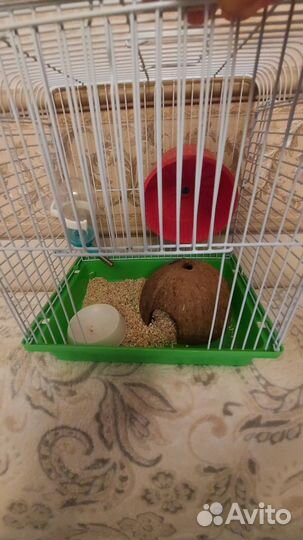 Клетка для грызунов