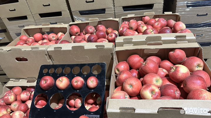 Яблоки оптом
