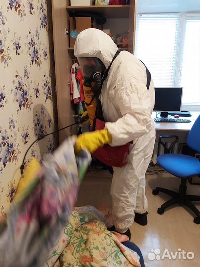 Уничтожение навсегда клопов, тараканов, крыс