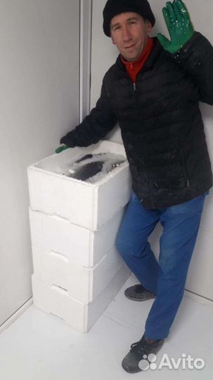 Услуги грузчиков,грузчики и газель