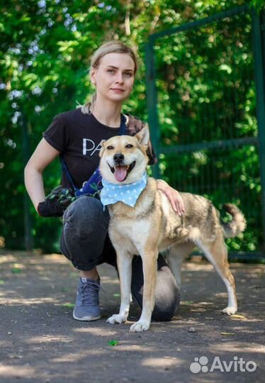 Собаке принцессе не место в приюте,она страдает