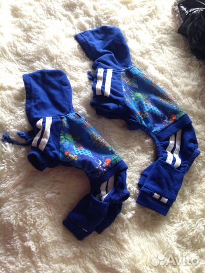 Спортивный костюм Сочи для маленьких собачек